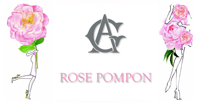 Rose-Pompon-Kampagnenfoto